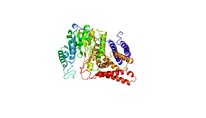 Trade name: HASINCI name: sh-Polypeptide 91Feature of ingredientRecombinant proteinMolecular Weight:...