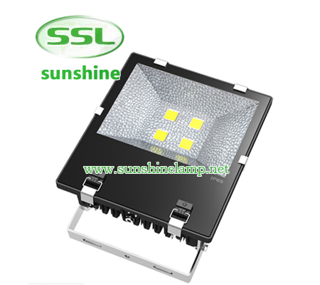 Die-casting aluminum housingAC85~265V input optionsOptical grade diffused lensGraduated angle scaleB...