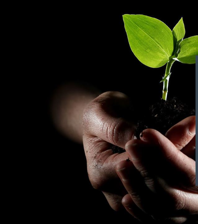 Développement des talents