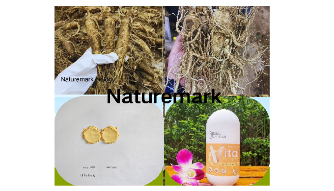 Ginseng Extract 拉丁名： Panax ginseng C.A. Meyer 规格：1%-45% Ginsengside 检测方法：HPLC 分子式：C42H72O13 Function...
