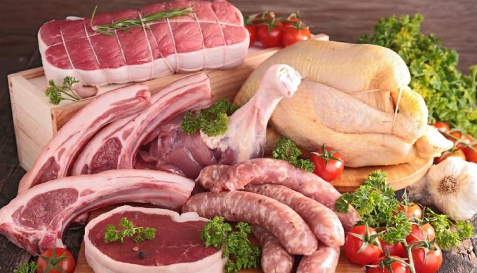 Our company specializes in livestock shipping and forwarding services, focusing on the export of var...