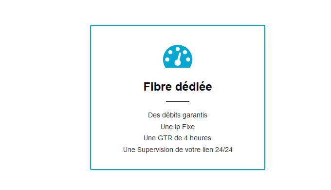 GTR inclus, une IP fixe, un routeur d’extrémité Accès à l’extranet avec la supervision en temps réel...