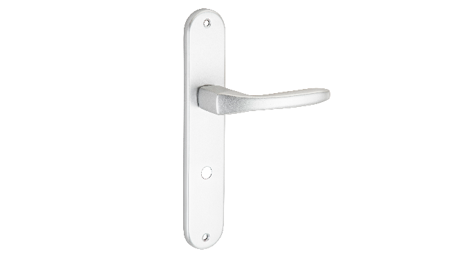 The Vestal Handle on Backplate is a stylish and durable door handle designed for easy operation and ...