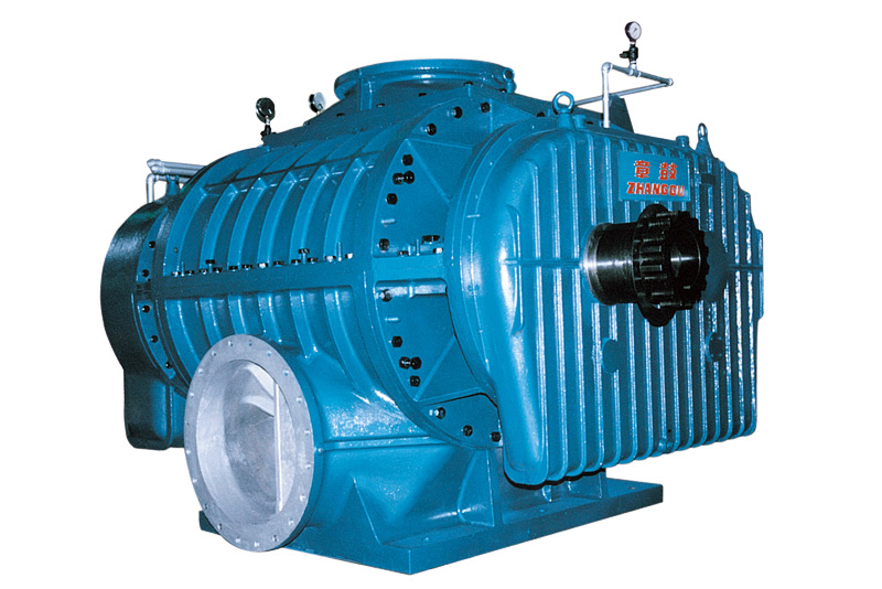 Combined with our rich manufacturing experience and the technology of RR Roots blowers and L roots b...