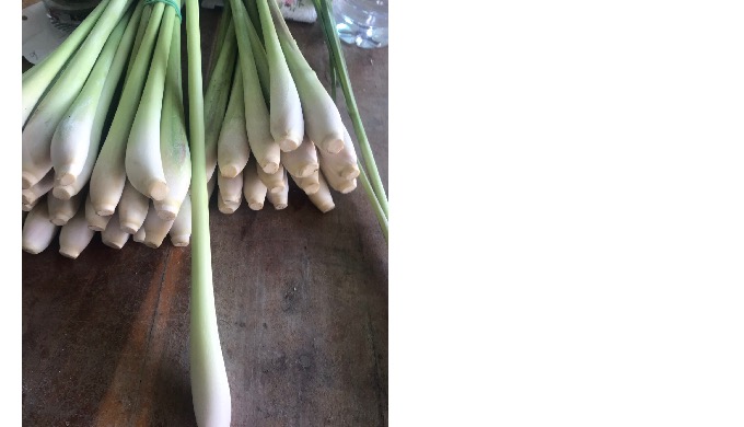 Hello we export Lemon Grass to over the world, Pls contact me with co-operation Thanks Hai / +84 945...