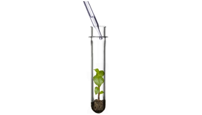 Aditivos Naturales Orgánicos para Pienso Animal