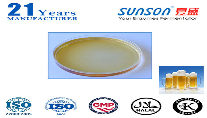 Pullulanase enzyme for beer brewing industrial Sunson PUL2