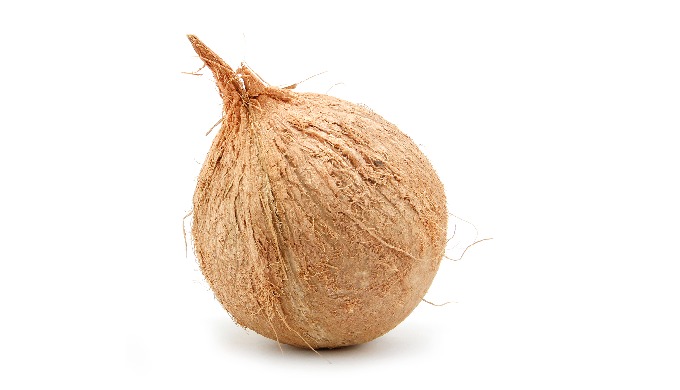 Style: Fresh Type: Coconut Product Type: Tropical & Sub-Tropical Fruit Color: Brown Maturity: 9-...