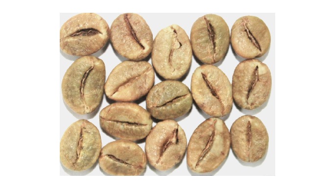Indian green coffee beans are known for their consistent quality, clean cup profile, and reliable su...