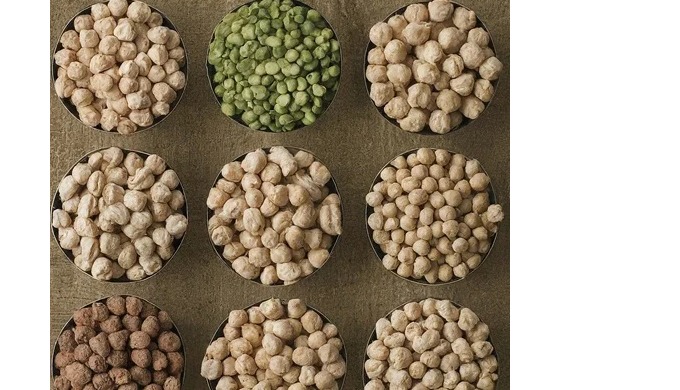 Indian kabuli chana also known as garbanzo bean. Chickpeas are high in fibres and protein , contains...