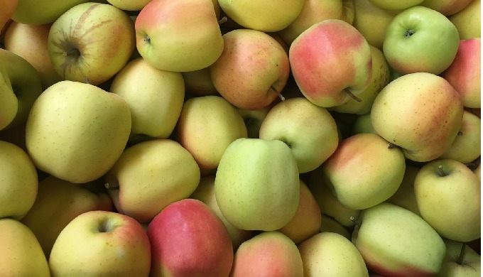 Consegniamo alla rinfusa prodotto ortofrutticolo all’industria di trasformazione per concentrati, pu...