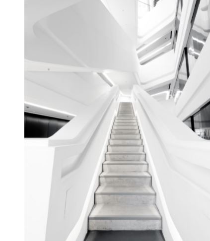 Stratégie Opérationnelle SALVEO : D | VOC ®