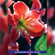 РЕКЛАМНЫЕ АФИШИ, ПОСТЕРЫ И ПЛАКАТЫ РАЗНЫХ РАЗМЕРОВ И СЛОЖНОСТИ