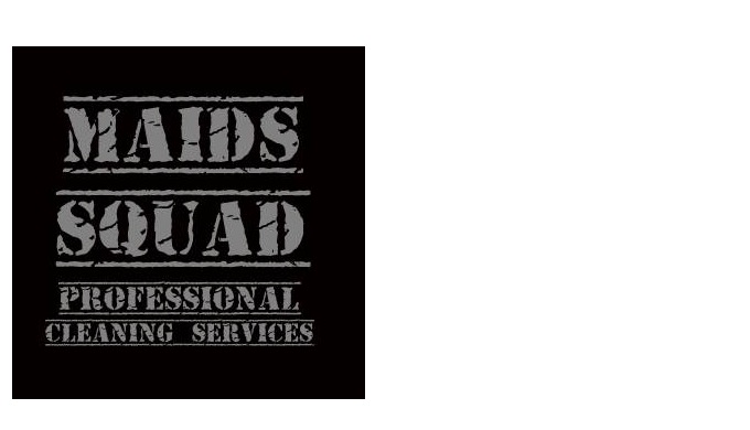 Professional Cleaning service in dubai 