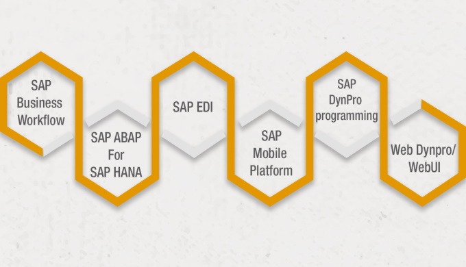 AllianceTek company offers complete SAP solutions like SAP implementation, ABAP development for SAP ...