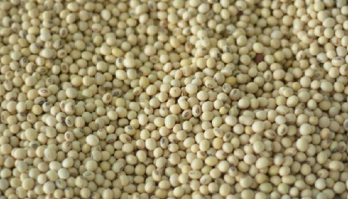 Soybeans
