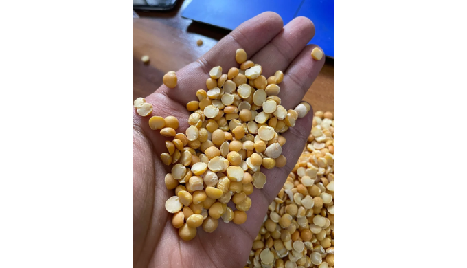 Buy premium Yellow Split Peas (Matar Dal) from Shri Shyam Corporation, your trusted Indian supplier ...