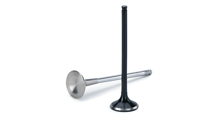Engine valves built for commercial vehicles, earthmovers, and tractors. Our valves offer resistance ...