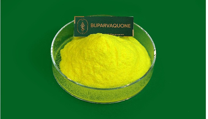 Buparvaquone is a naphthoquinone antiprotozoal drug. It is a promising compound for the therapy and ...