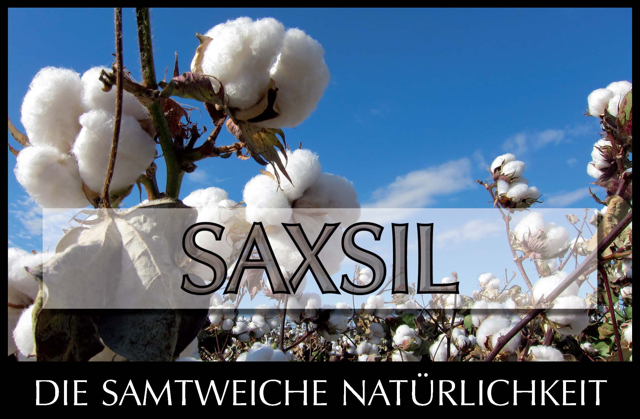 Saxsil ist ein Anstrichstoff für Decken und Wände. Er eignet sich auf Gips (Weissputz), Kalkabrieb, ...
