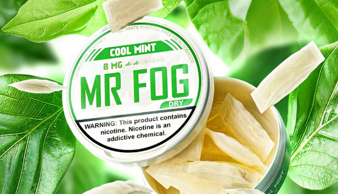 Using Nicotine Pouches at Work: What You Need to Know