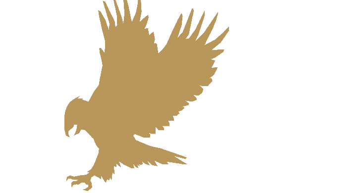Swiss Eagle