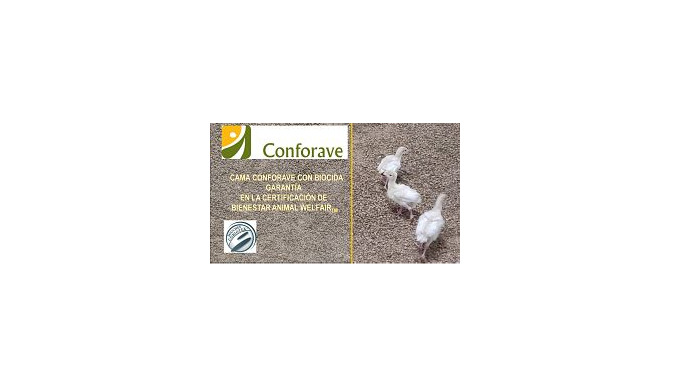 Cama higienizada, absorbente, de origen vegetal e inoculada con complejo bacteriano con efecto bioci...