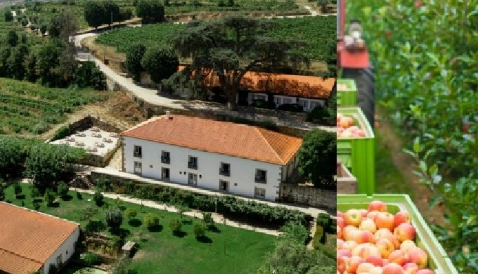 Cultivando en la Huerta de LLeida desde 1945. Producimos, almacenamos, embalamos y comercializamos c...