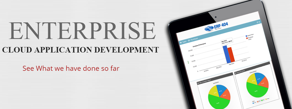 ERP & CRM Development