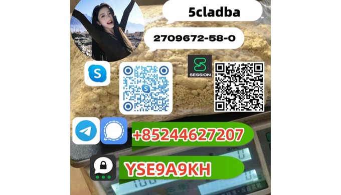请联系： 姓名：Jessica Telegram/信号： +85244627207 Threema: YSE9A9KH Skype: live:.cid.a0f7091891bf1927 我们可以发送...