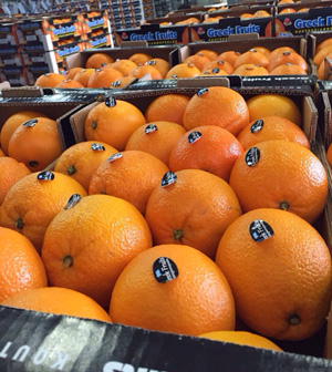 Citrus fruits