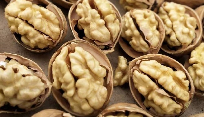 High quality Chinese walnuts/kernels WhatsApp: +8613021808760