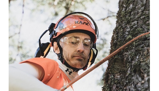 Tree Removal, Tree Pruning in Nelson, Hedge Trimming in Nelson, Arborists