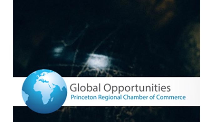THE GLOBAL OPPORTUNITIES PROGRAM