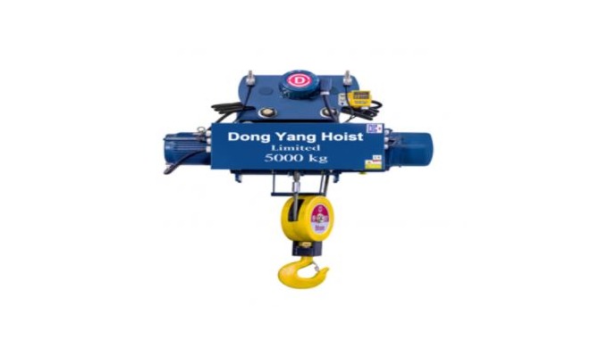 DY5-M This is General type Hoist, mono- rail type Hoist, the Height begins from 6 meter.