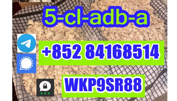 Telegram/signal: +85284168514 ThreeMa: WKP9SR88 E-mail: wvqvmhjbfgurh@outlook.com ———————————————— W...