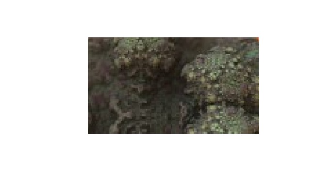 Microorganisms can cause numerous problems in aqueous systems, including silt deposits, microbiologi...