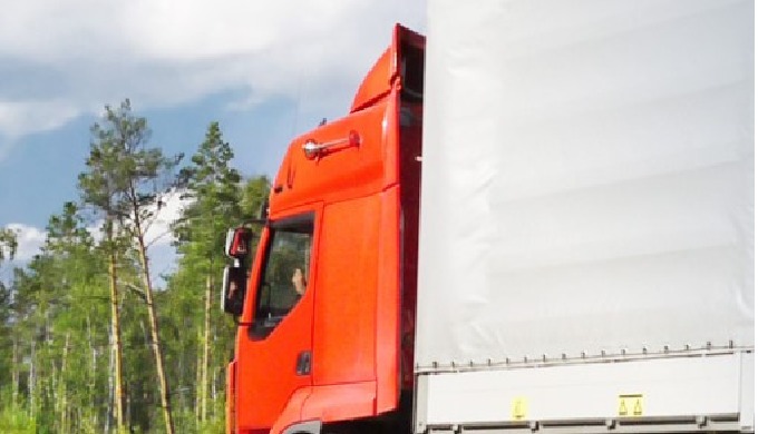 Servicios de grupaje terrestre y paquetería diaria a nivel europeo.