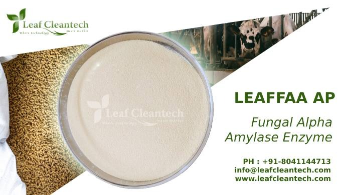 LEAFFAA is enzyme is an alpha-amylase produced by a selected strain of Aspergillus sp. It is charact...