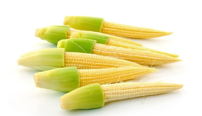 Shreestuti Exports offers fresh, premium-quality baby corn cultivated under the best agricultural pr...