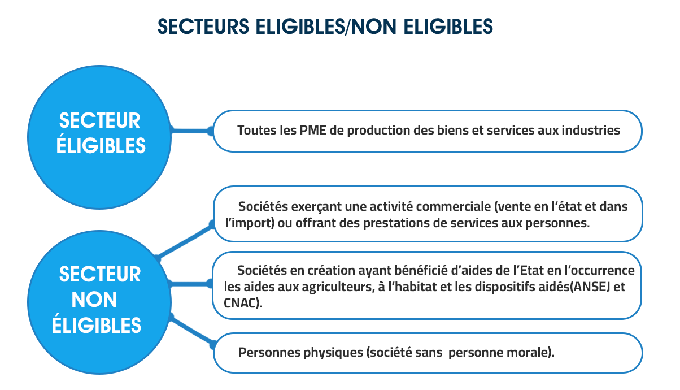 SECTEURS ELIGIBLES/NON ELIGIBLES: SECTEUR ÉLIGIBLES: Toutes les PME de production des biens et servi...