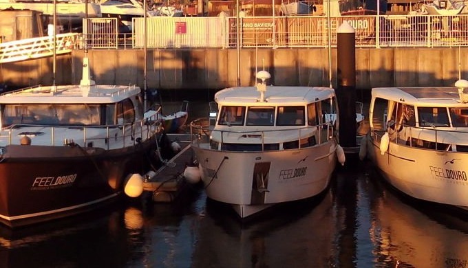 Mais do que um passeio de barco, propomos uma experiência completa da região! Dispomos de uma frota ...