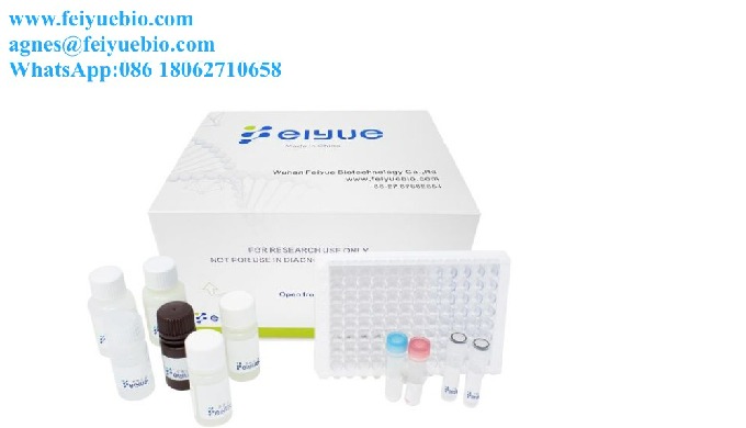 Sell ELISA kits, antibodies, protein at a low price Feiyue elisa kits, The ready-to-use Elisa kits a...