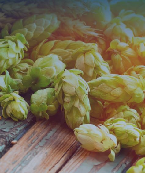 Conformité des matières premières avec QUALTECH