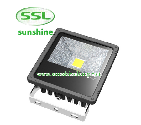 Die-casting aluminum housingAC85~265V input optionsOptical grade diffused lensGraduated angle scaleB...