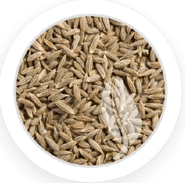 Cumin Seeds