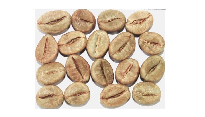 Indian Robusta green coffee beans are valued for their bold body, strong aroma, and high consistency...