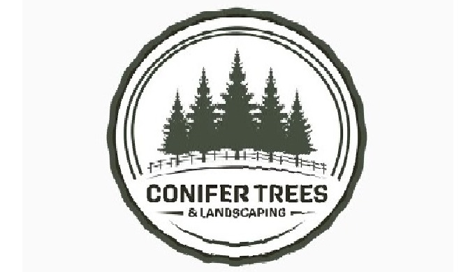 Conifer Trees & Landscaping is your go-to Tree Care & Landscaping expert in Wexford, Carlow ...