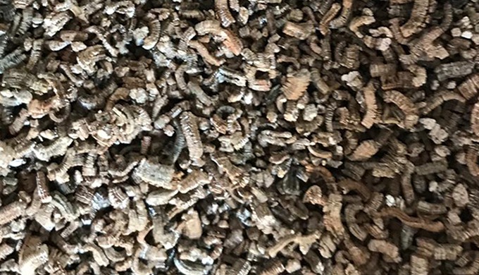 As MS Madencilik, we are a Turkish company that has been specializing in the production of raw vermi...