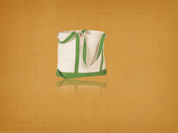 Organic Canvas Beach Bag: Organic Canvas Beach Bag-- Bags made from 100% GOTS certified Organic Canv...